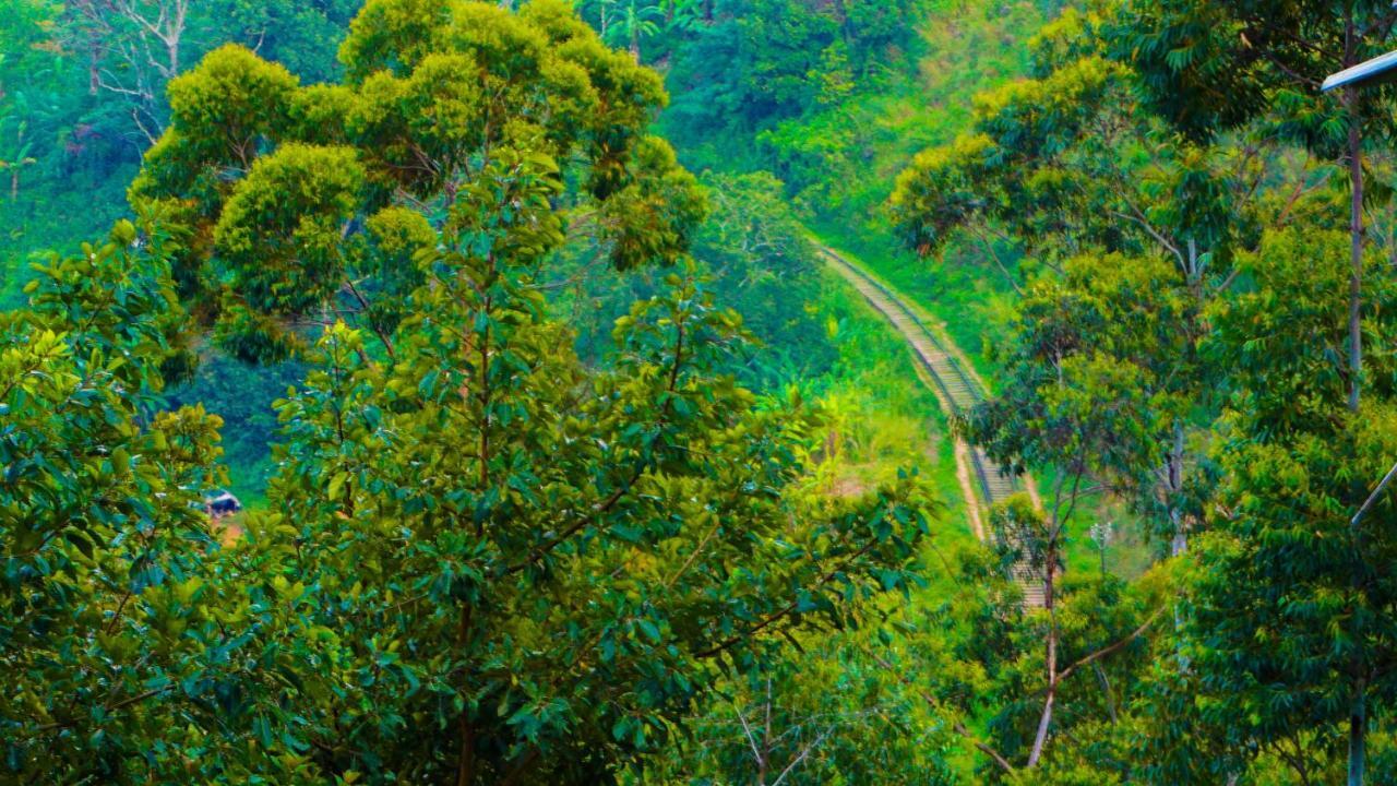 Shining Green View Ella Esterno foto
